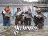 (12/12/2016) - Nice Striped Bass
